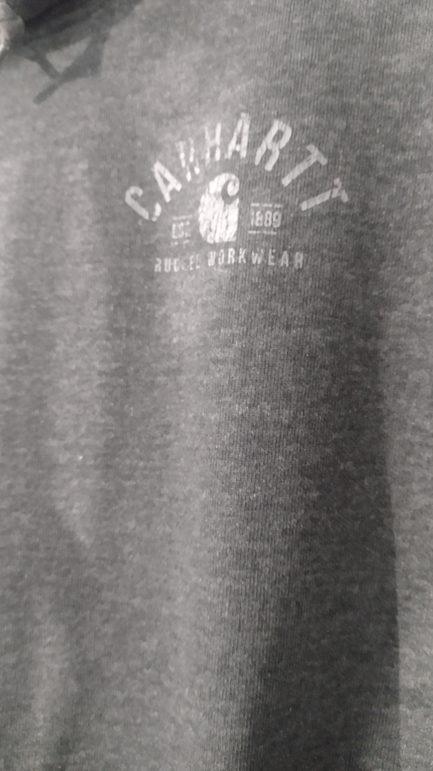 Felpa Carhartt